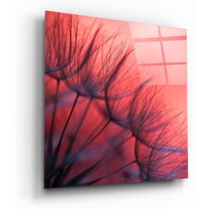 Red Dandelion üvegkép, 40 x 40 cm - Insigne