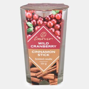 Wild Cranberry and Cinnamon Stick illatos gyertya, kétszínű többszínű