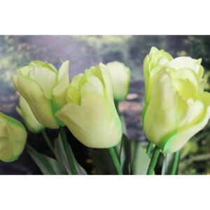 Zöld mű tulipán levelekkel 67cm