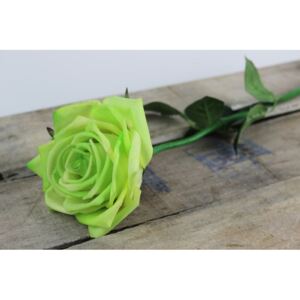 Zöld virágzó rózsa 60cm