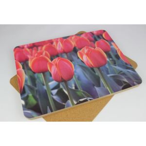 Piros tulipános tálcák 6db