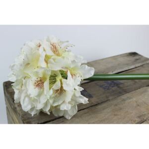 Fehér mű havasszépe (rhododendron) 100cm