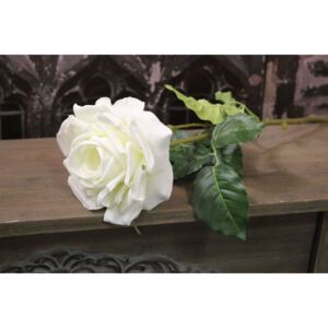 Fehér rózsa szárral 13cm