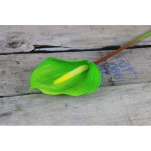 Zöld mű flamingóvirág (anthurium) szárral 61cm