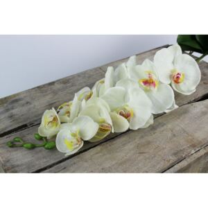 Fehér mű orchidea szárral 80cm