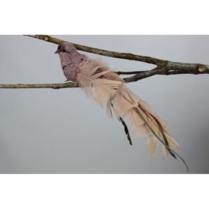 Fáradt rózsaszín madár csipeszen
