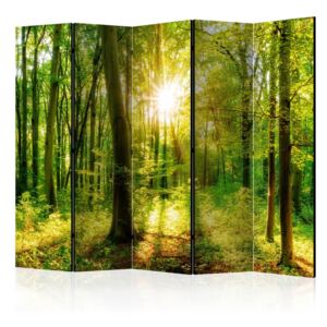 Paraván - Forest Rays 225x172 cm