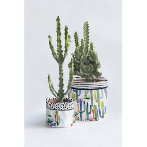 Watercolor Cactus 2 részes textilkaspó szett - Surdic