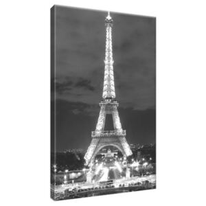 Vászonkép Eiffel-torony fekete-fehér 20x30cm 518A_1S