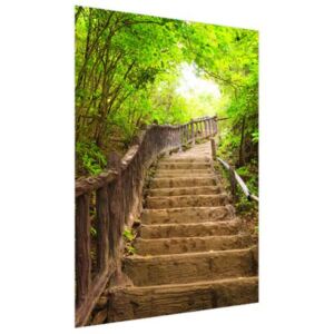 Nyomatos roletta Thaiföldi erdőben lévő lépcső 110x150cm FR2327A_1ME