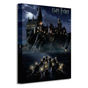Vászonkép Harry Potter (Hogwarts School) 30x40cm WDC92246