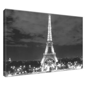 Vászonkép Eiffel-torony fekete-fehér 30x20cm 518A_1T