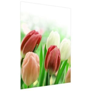 Nyomatos roletta Vörös tulipánok 110x150cm FR2181B_1ME