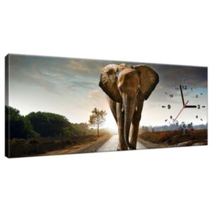 Órás falikép Magányos erős elefánt 100x40cm ZP2479A_1I