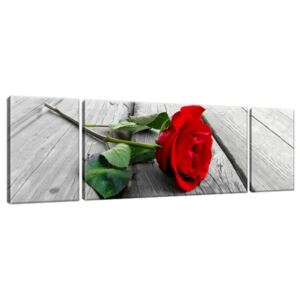 Vászonkép Magányos rózsa a mólón 170x50cm 1858A_3G