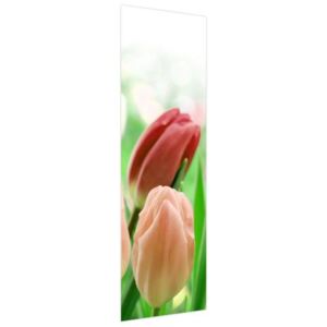Nyomatos roletta Vörös tulipánok 50x150cm (HD nyomtatás)