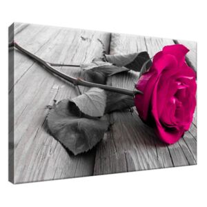 Vászonkép Rózsaszín rózsa 30x20cm 1141A_1T