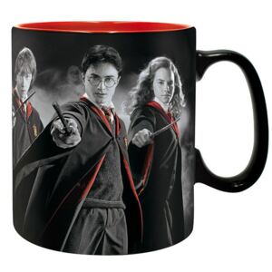 Harry Potter - Harry, Ron, Hermione bögre