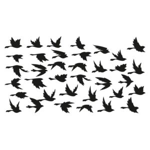 Fanastick Birds in Flight öntapadós falmatrica - Ambiance