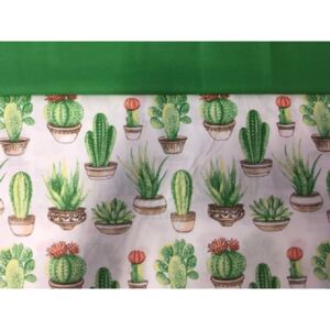 Falvédő kaktusz