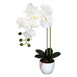 SmileHOME by Pepita élethű Művirág - Orchidea 55cm - fehér (03NOR)