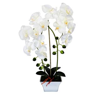 SmileHOME by Pepita élethű Művirág - Orchidea 60cm - fehér (02NOR)