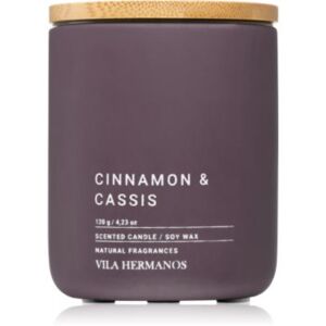 Vila Hermanos Concrete Cinnamon & Cassis illatos gyertya 120 g
