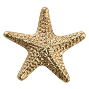GOLDEN NATURE tengeri csillag 10 cm