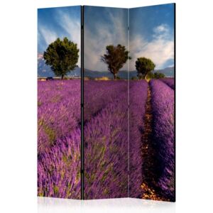 Paraván - Lavender field in Provence, France [Room Dividers] 135 x 172 cm