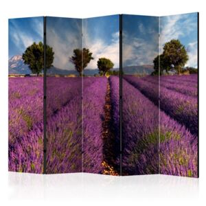 Paraván - Lavender field in Provence, France II [Room Dividers] 225 x 172 cm
