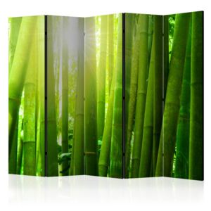 Paraván - Sun and bamboo II [Room Dividers] 225 x 172 cm