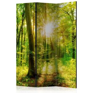 Paraván - Forest Rays [Room Dividers] 135 x 172 cm