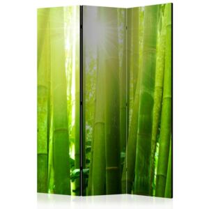 Paraván - Sun and bamboo [Room Dividers] 135 x 172 cm