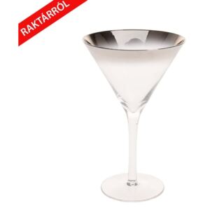 Elza ombre üveg martini pohár szett ezüst színben 19cm