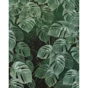 Monstera növény mintás tapéta, 200x250 cm, zöld - MONSTERA