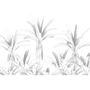 Egzotikus trópusi növényeket ábrázoló tapéta, 400x280 cm, fekete-fehér - PASSE SIMPLE