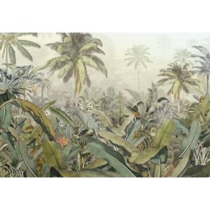 Amazóniai esőerdőt ábrázoló tapéta, 368x248 cm, zöld - AMAZONIE