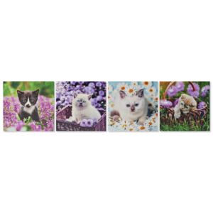 Kép vászon 28x1,5x28 gatitos virágok 4 féle (készletről)